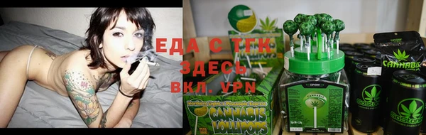 тгк Новозыбков