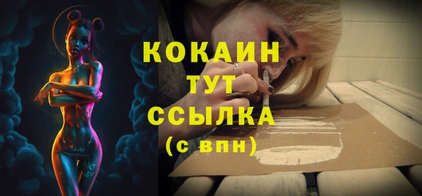 тгк Новозыбков