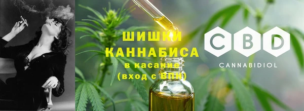 тгк Новозыбков