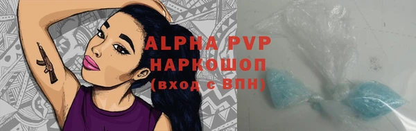 тгк Новозыбков