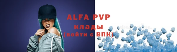 тгк Новозыбков