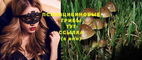 MESCALINE Новокубанск