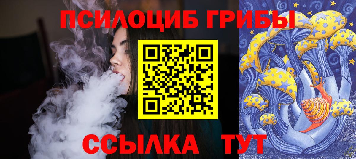 закладки  Псилоцибиновые грибы Cubensis  Вход с VPN  Сокол  Галлюциногенные грибы GOLDEN TEACHER 