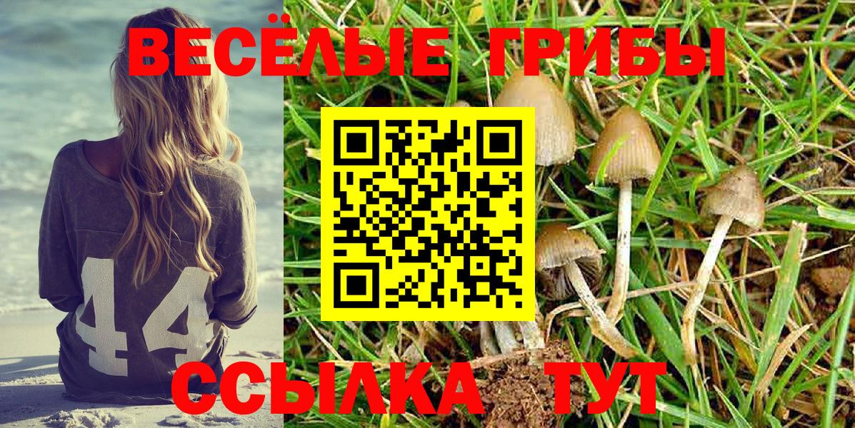 Галлюциногенные грибы GOLDEN TEACHER Сокол