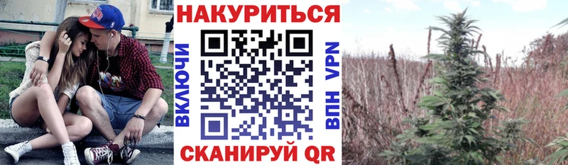 Каннабис THC 21%  Сокол 