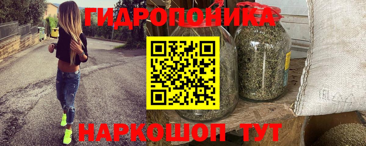 Бошки марихуана Ganja  Вход с VPN  Сокол  Конопля Bruce Banner 